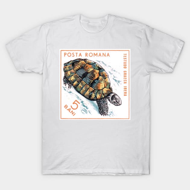 Vintage 1965 Romania tortoise postage stamp T-Shirt by NVDesigns